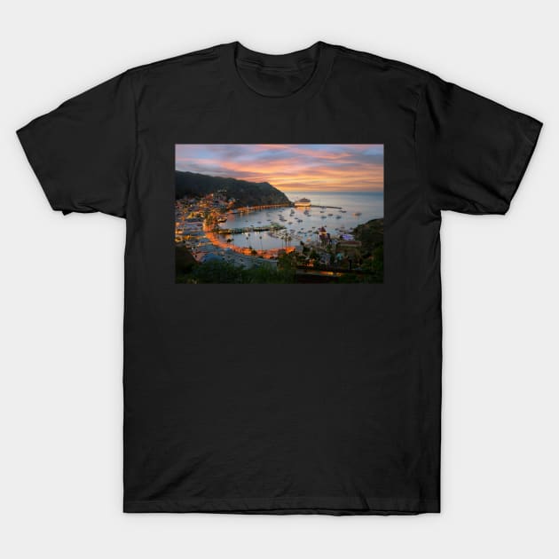 Catalina Island T-Shirt by jswolfphoto